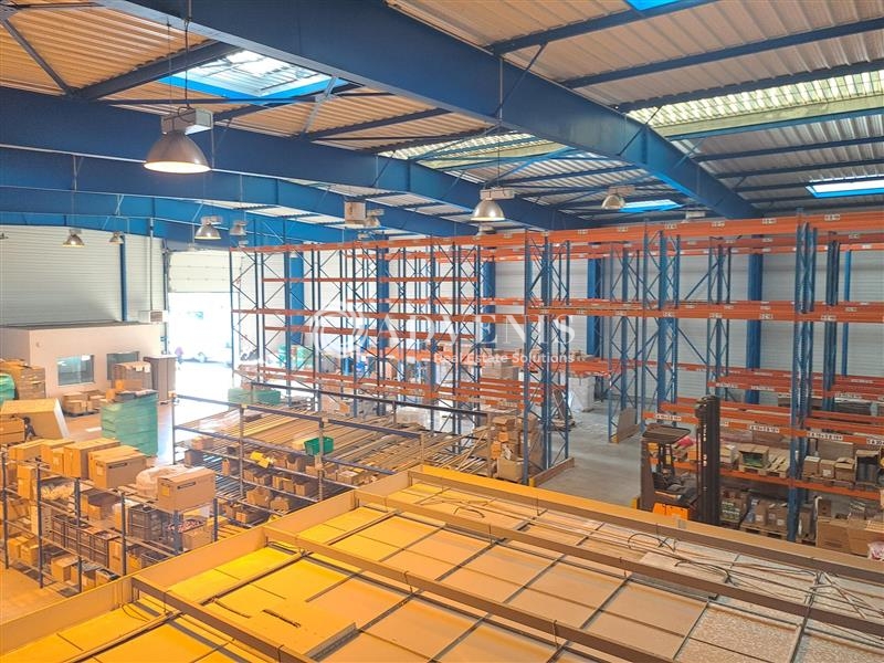 Vente Investisseur Activités Entrepôts SAINTE LUCE SUR LOIRE (44980) - Photo 9