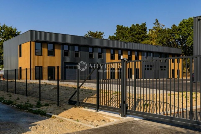 Vente Investisseur Activités Entrepôts VIGNEUX DE BRETAGNE (44360) - Photo 8