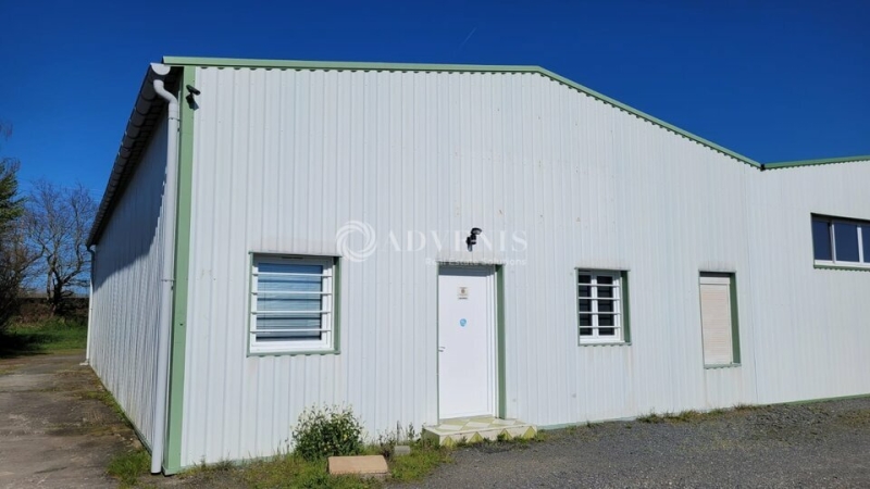 Location Activités Entrepôts LE PALLET (44330) - Photo 4