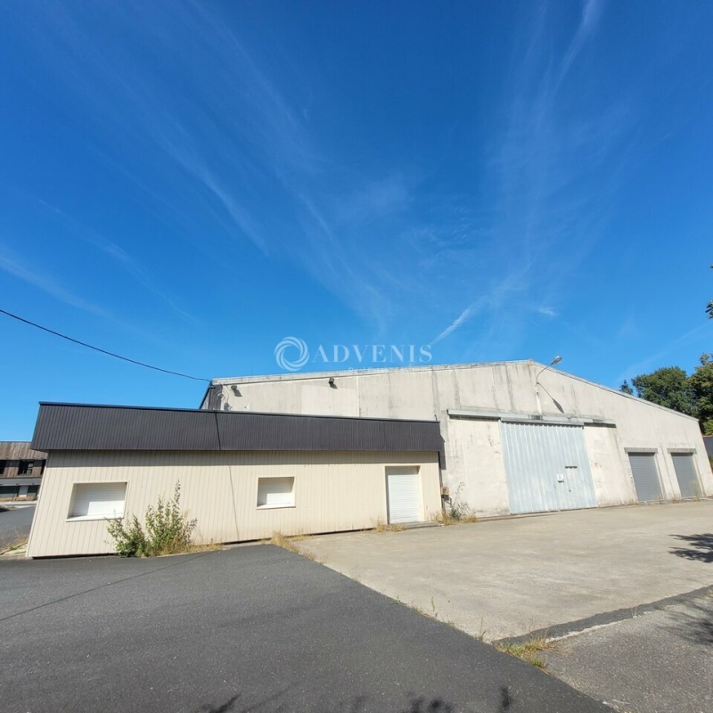 Vente Investisseur Activités Entrepôts TREILLIÈRES (44119) - Photo 1