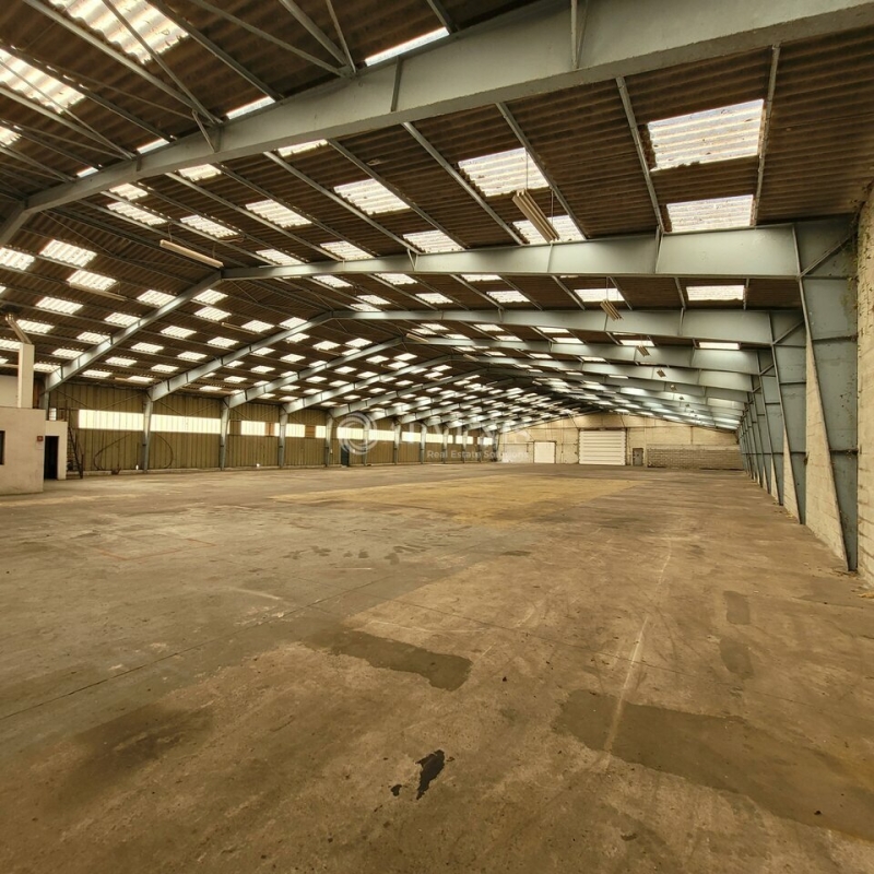 Vente Investisseur Activités Entrepôts TREILLIÈRES (44119) - Photo 4