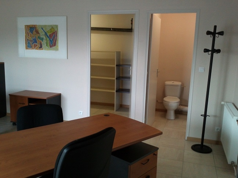 Location Bureaux SAINT JEAN LE BLANC (45650) - Photo 2
