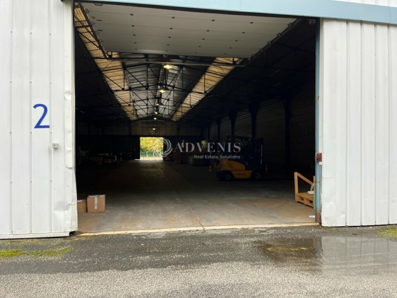 Location Entrepôts SAINT JEAN DE BRAYE (45800) - Photo 5