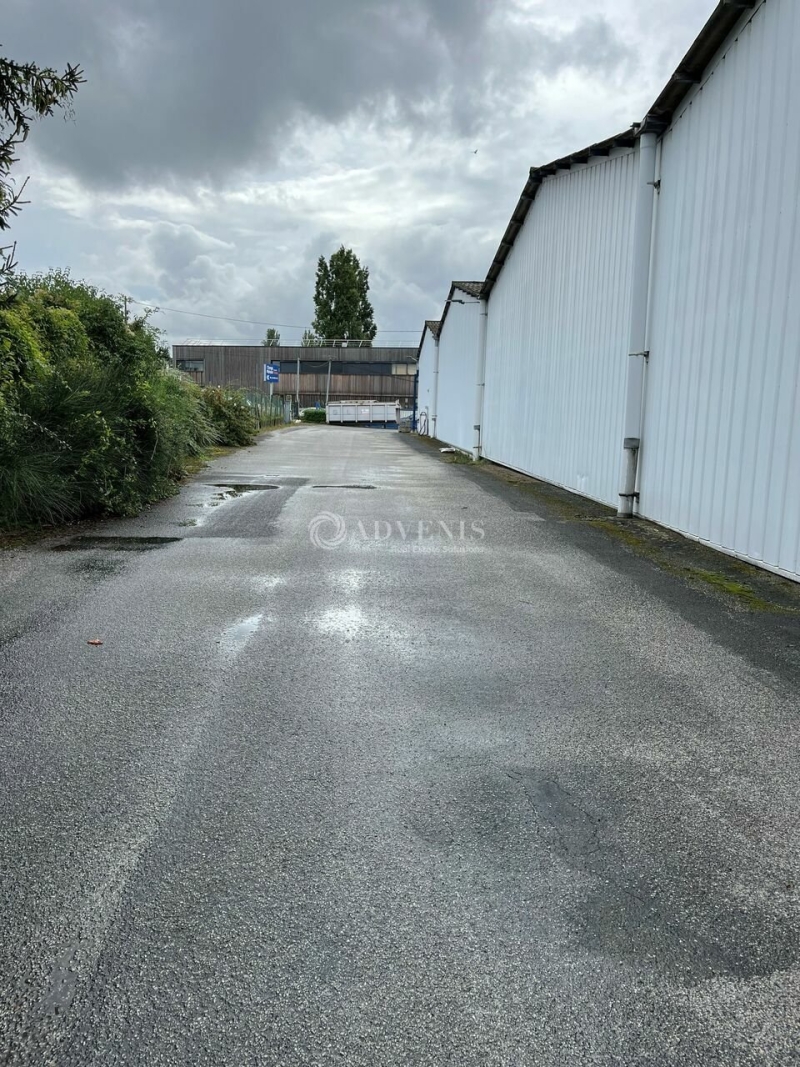 Location Entrepôts SAINT JEAN DE BRAYE (45800) - Photo 9