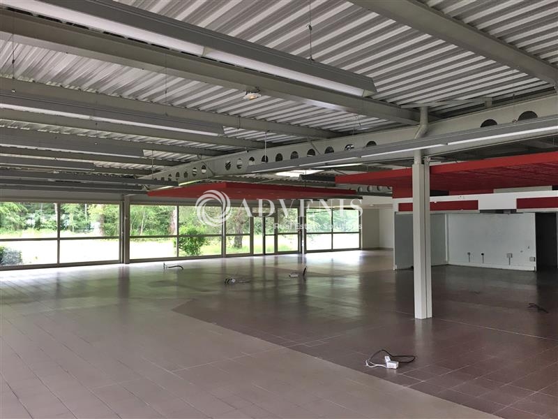 Vente Utilisateur Activités Entrepôts BOIGNY SUR BIONNE (45760) - Photo 2