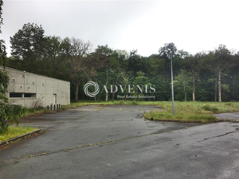 Vente Utilisateur Activités Entrepôts BOIGNY SUR BIONNE (45760) - Photo 5
