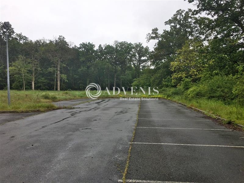 Vente Utilisateur Activités Entrepôts BOIGNY SUR BIONNE (45760) - Photo 6