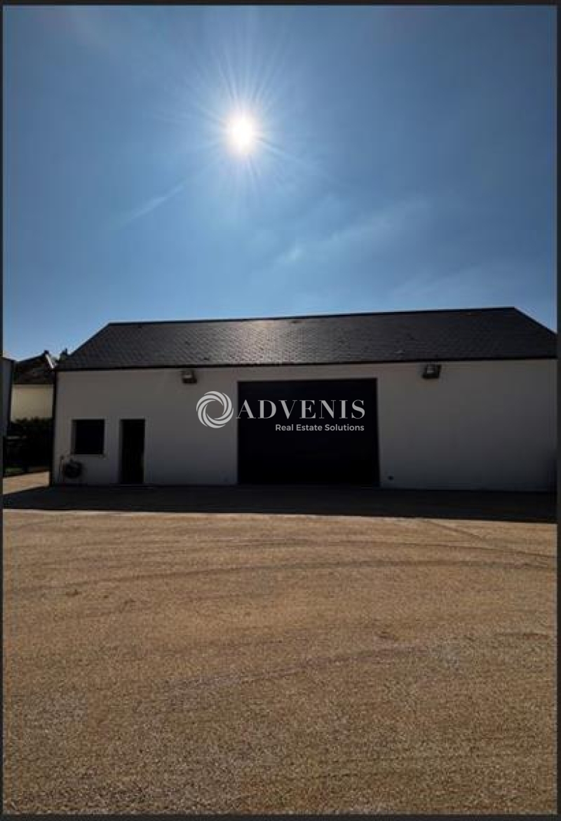 Location Activités Entrepôts SAINT DENIS EN VAL (45560) - Photo 1
