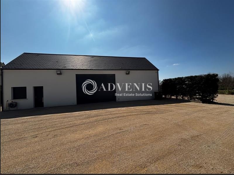 Location Activités Entrepôts SAINT DENIS EN VAL (45560) - Photo 2