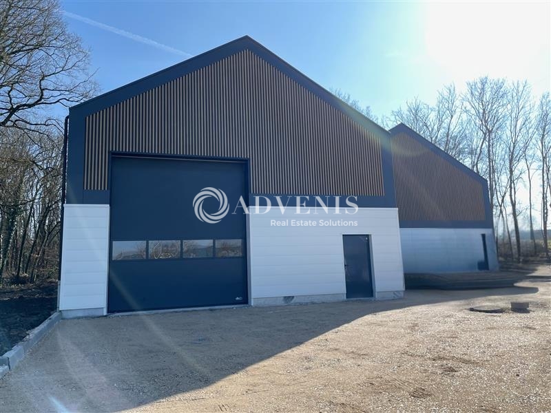 Location Activités Entrepôts INGRE (45140) - Photo 4