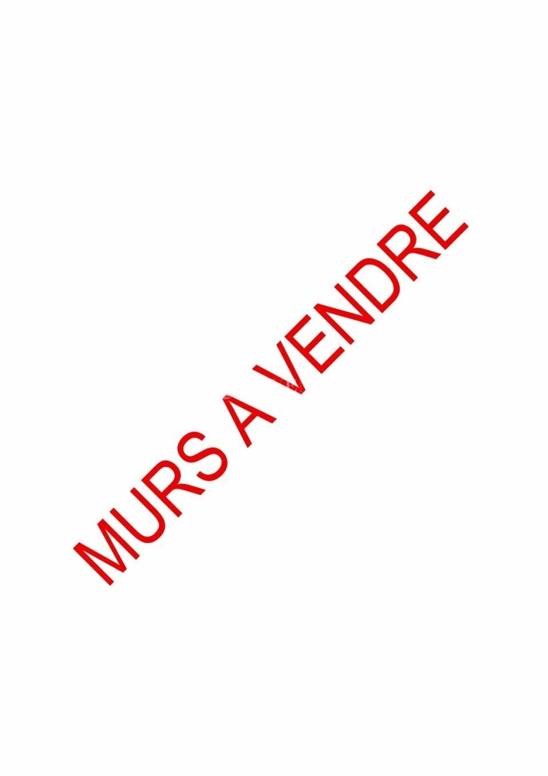 Vente Investisseur Commerces ORLEANS (45000) - Photo 1