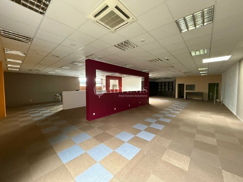 Location Commerces OLIVET (45160) - Photo 8