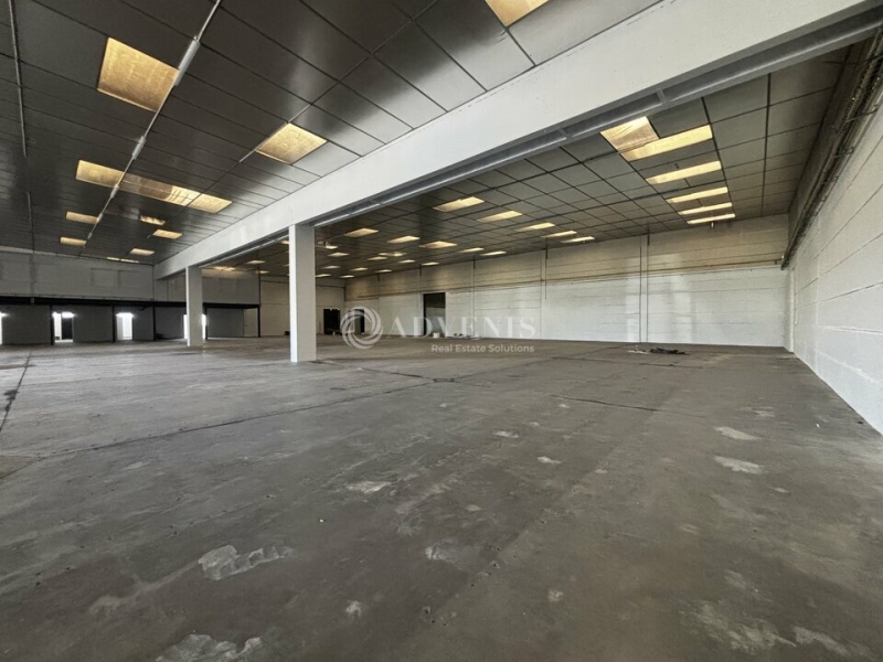 Location Entrepôts AMILLY (45200) - Photo 8