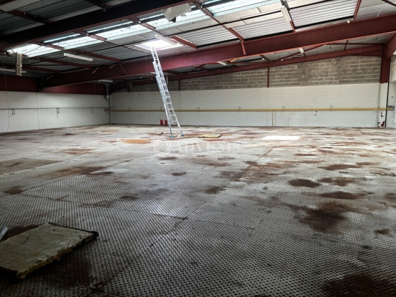 Location Entrepôts AMILLY (45200) - Photo 9
