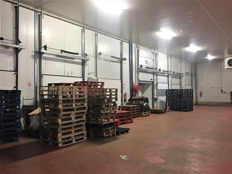 Location Entrepôts THIAIS (94320) - Photo 3