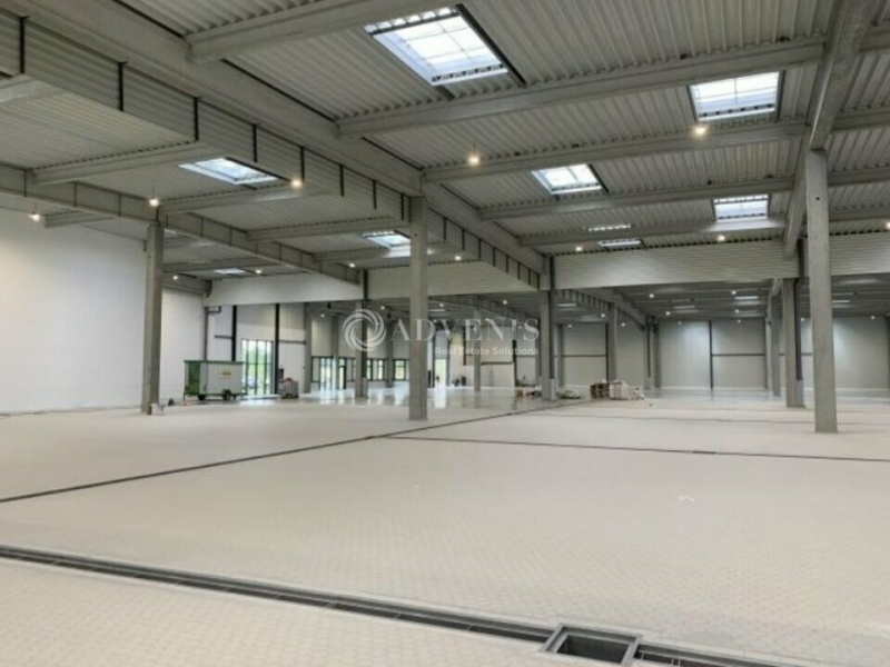 Location Activités Entrepôts SUCY-EN-BRIE (94370) - Photo 3