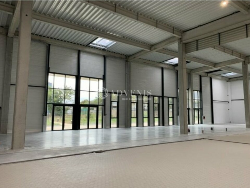 Location Activités Entrepôts SUCY-EN-BRIE (94370) - Photo 4