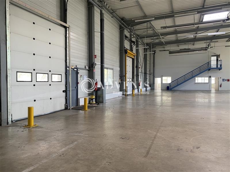 Location Activités Entrepôts ARCUEIL (94110) - Photo 8
