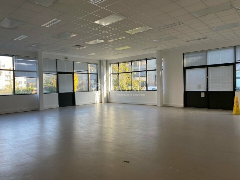 Location Activités Entrepôts BAGNEUX (92220) - Photo 6