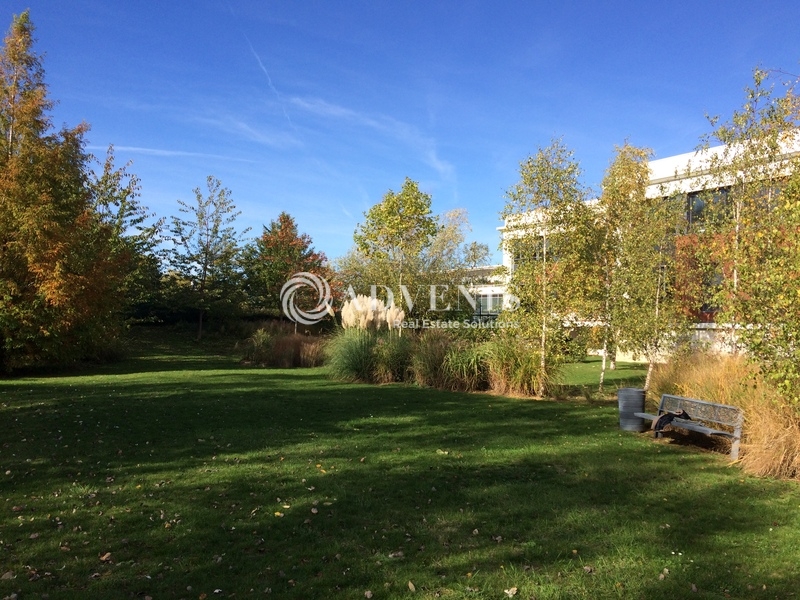 Location Bureaux CROISSY SUR SEINE (78290) - Photo 9