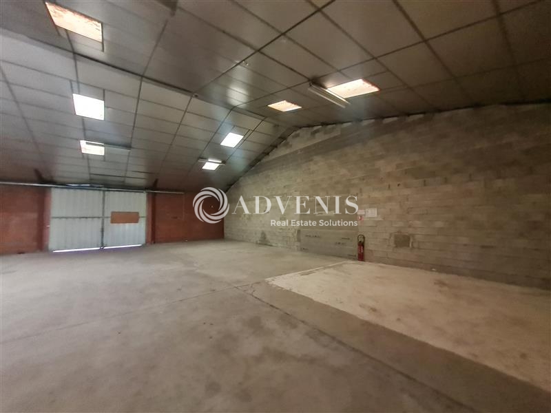 Location Activités Entrepôts SAINT JORY (31790) - Photo 2