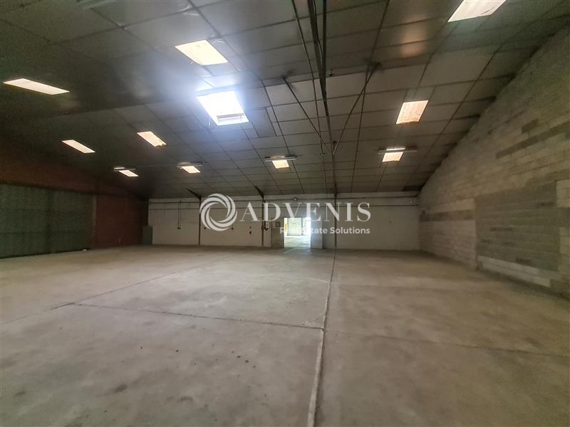 Location Activités Entrepôts SAINT JORY (31790) - Photo 3