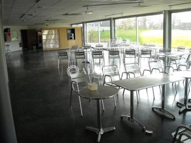 Location Bureaux SAINT CYR SUR LOIRE (37540) - Photo 15