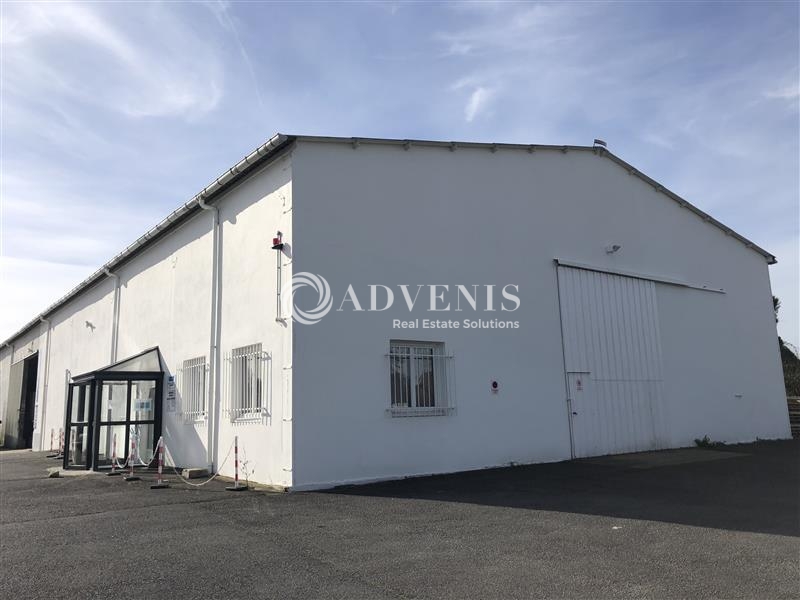 Location Activités Entrepôts TOURS (37100) - Photo 1