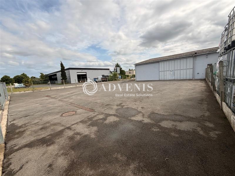 Location Activités Entrepôts ESVRES SUR INDRE (37320) - Photo 5