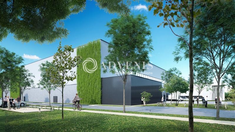 Location Entrepôts SORIGNY (37250) - Photo 6