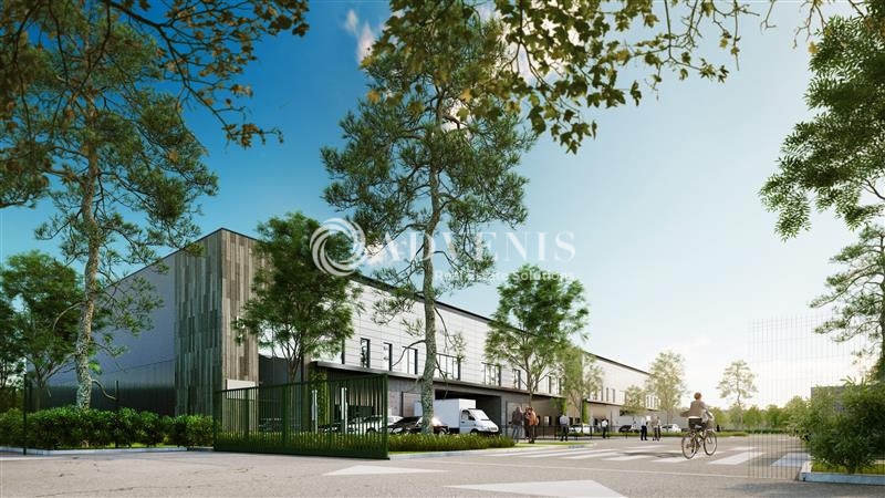 Location Activités Entrepôts SORIGNY (37250) - Photo 2
