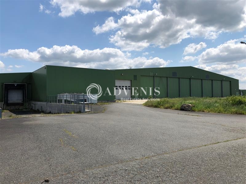 Vente Utilisateur Activités Entrepôts SAINT PATERNE RACAN (37370) - Photo 2