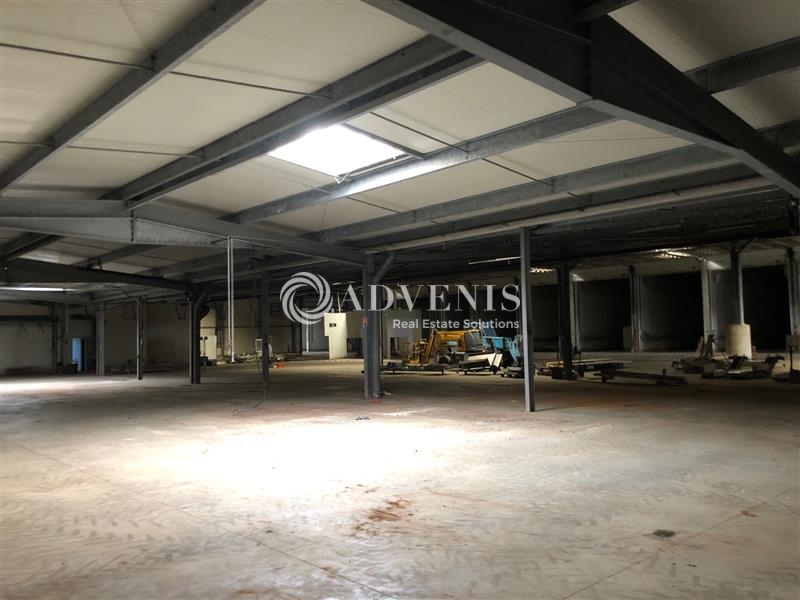 Vente Utilisateur Activités Entrepôts SAINT PATERNE RACAN (37370) - Photo 7