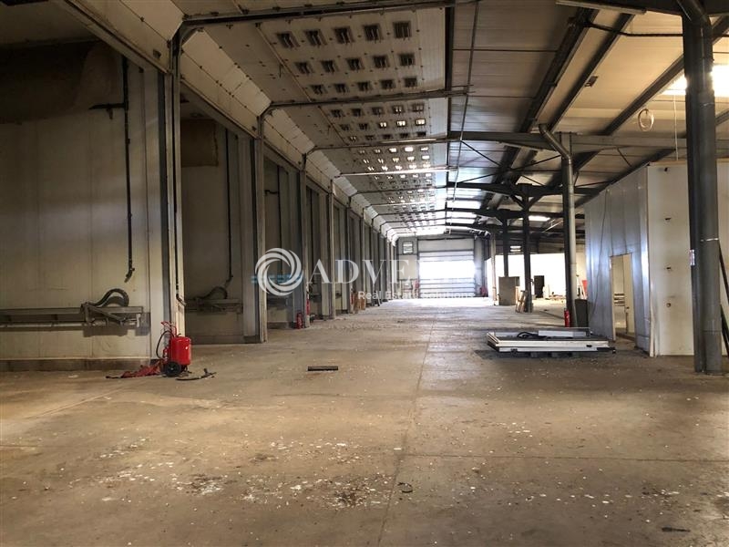 Vente Utilisateur Activités Entrepôts SAINT PATERNE RACAN (37370) - Photo 8