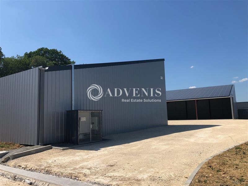 Location Entrepôts LE BOULAY (37110) - Photo 5
