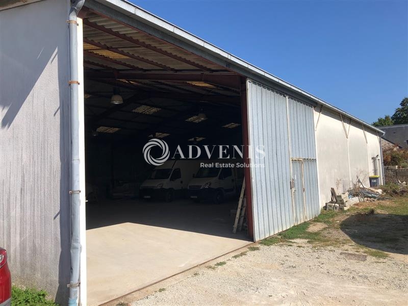 Location Activités Entrepôts JOUE LES TOURS (37300) - Photo 4