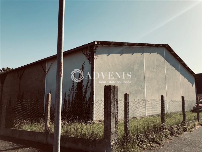 Location Activités Entrepôts JOUE LES TOURS (37300) - Photo 5