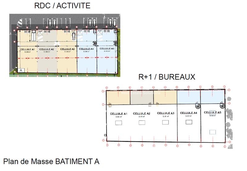 Location Activités Entrepôts JOUE LES TOURS (37300) - Photo 5