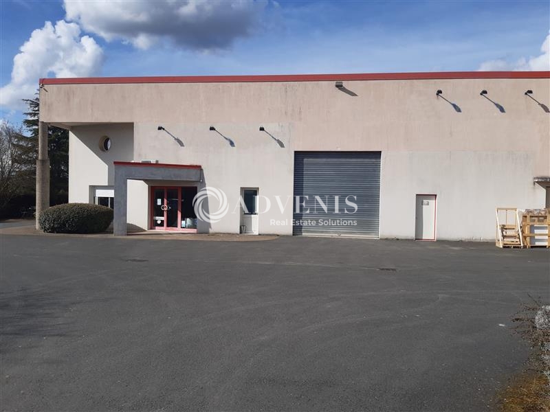 Vente Utilisateur Activités Entrepôts POCE SUR CISSE (37530) - Photo 1