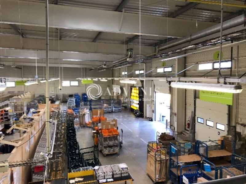 Location Activités Entrepôts JOUE LES TOURS (37300) - Photo 1