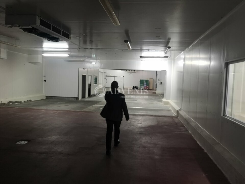 Vente Investisseur Entrepôts MONTBAZON (37250) - Photo 6