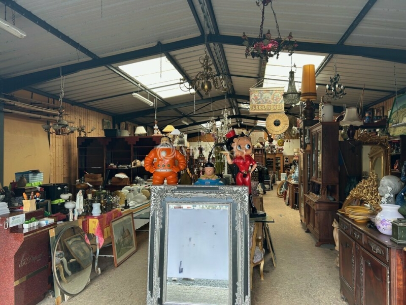 Vente Investisseur Activités Entrepôts BLÉRÉ (37150) - Photo 4