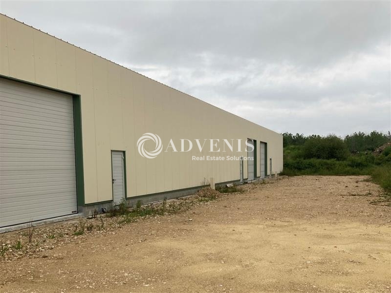 Vente Investisseur Activités Entrepôts CHAILLES (41120) - Photo 3