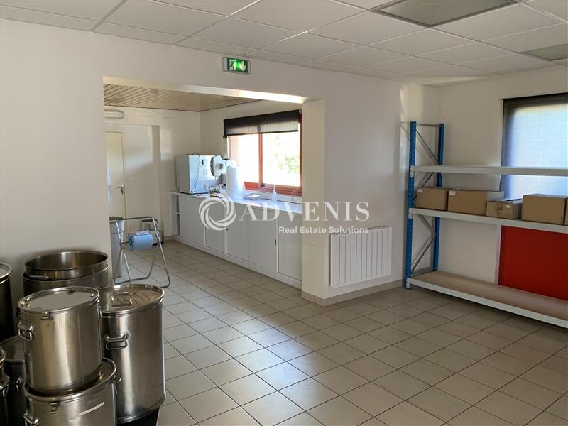 Vente Investisseur Activités Entrepôts SELLES SAINT DENIS (41300) - Photo 6