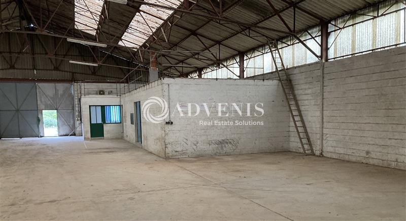 Location Activités Entrepôts NAVEIL (41100) - Photo 1