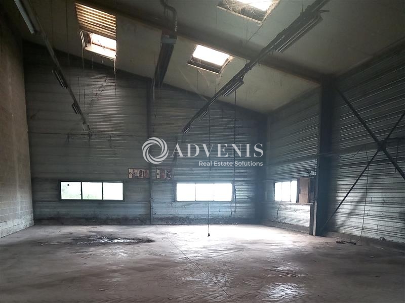 Vente Investisseur Entrepôts SELOMMES (41100) - Photo 5