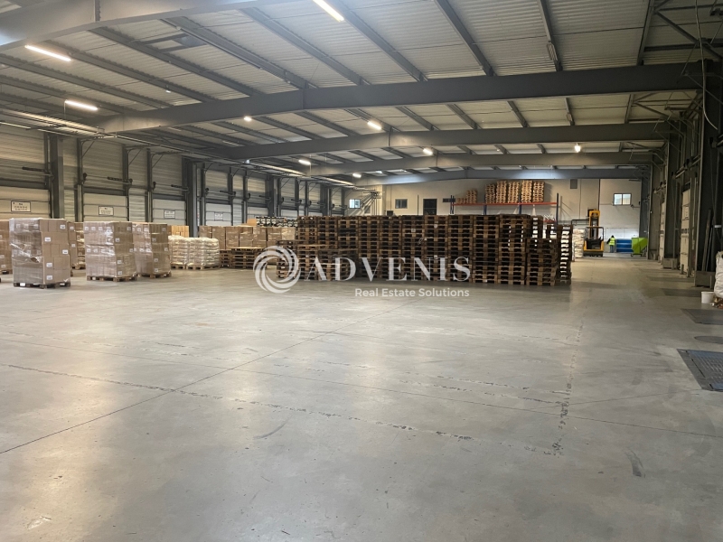 Location Activités Entrepôts LE CONTROIS EN SOLOGNE (41700) - Photo 5