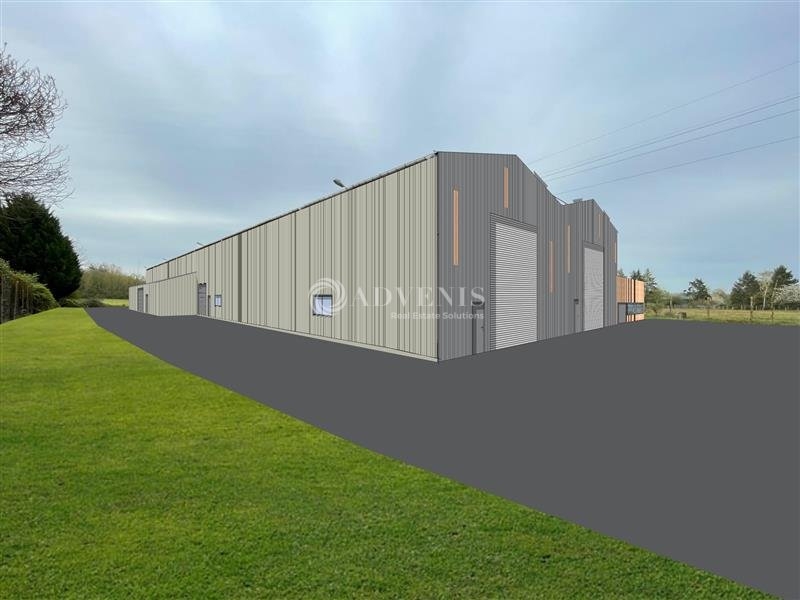 Location Activités Entrepôts SAINT LAURENT NOUAN (41220) - Photo 6