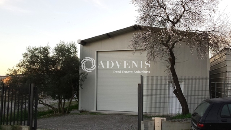Location Activités Entrepôts LE CRES (34920) - Photo 1