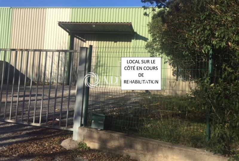 Location Commerces SAINT JEAN DE VEDAS (34430) - Photo 1